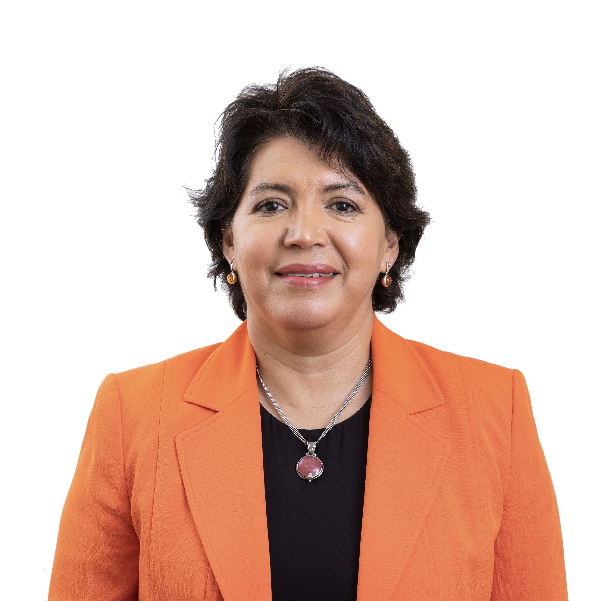 Yasna Provoste Campillay